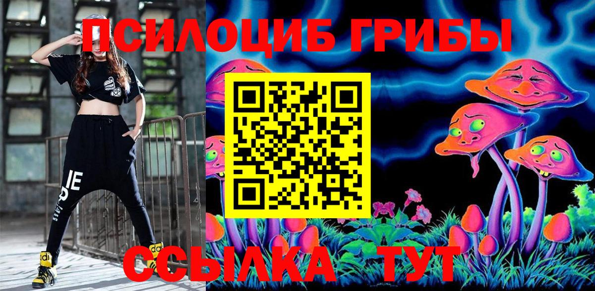 Галлюциногенные грибы Cubensis  Рузаевка  Галлюциногенные грибы Cubensis 