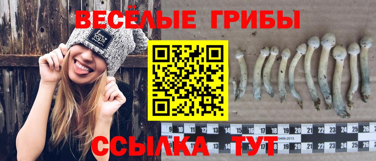 Псилоцибиновые грибы мицелий  Галлюциногенные грибы Magic Shrooms  Рузаевка  Вход с VPN 
